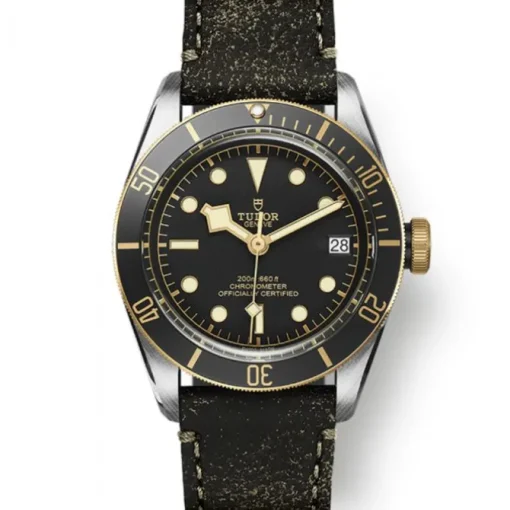 Tudor Black Bay S&G 41MM CON PIEL